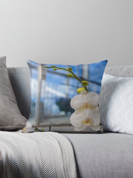 Item preview, White Phalenopsis Orchid designed and sold by Jarrett720.