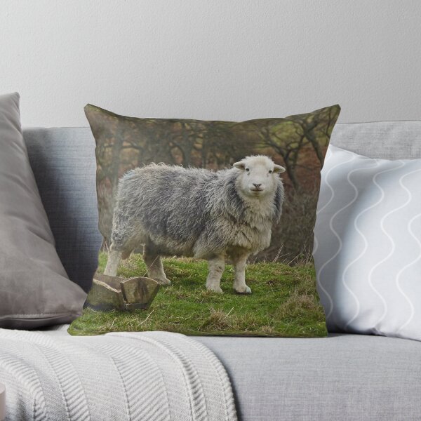 Herdwick I Throw Pillow