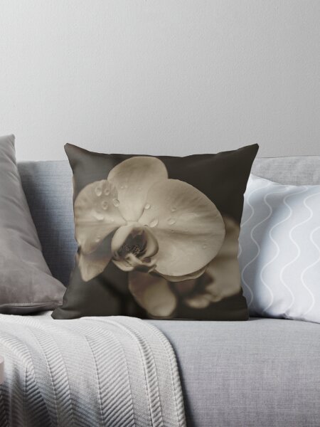 Item preview, White Phalenopsis Orchid 2 designed and sold by Jarrett720.