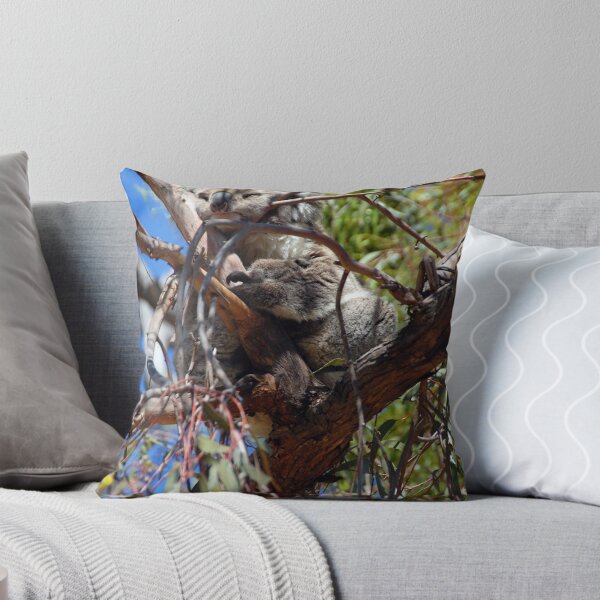 Item preview, koala designed and sold by GlenJohnson.