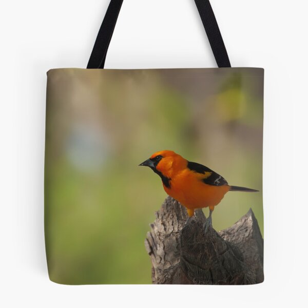 Item preview, Altamira Oriole designed and sold by Richard G Witham.