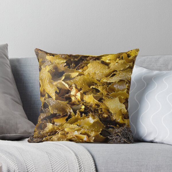 Item preview, Washup designed and sold by Emma McPherson.