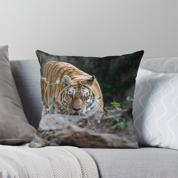 Item preview, Eye of the Tiger designed and sold by Jarrett720.