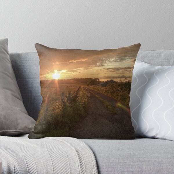 Long Wrangle Farm, Somerset Throw Pillow