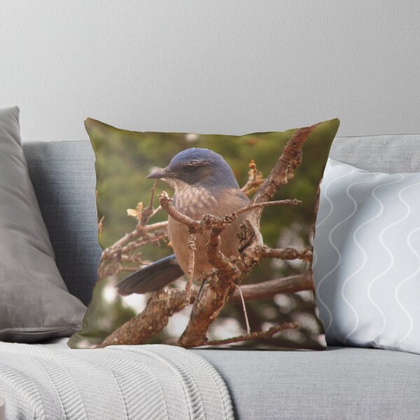 Item preview, Rocky Mountain Bluebird designed and sold by dfrahm.