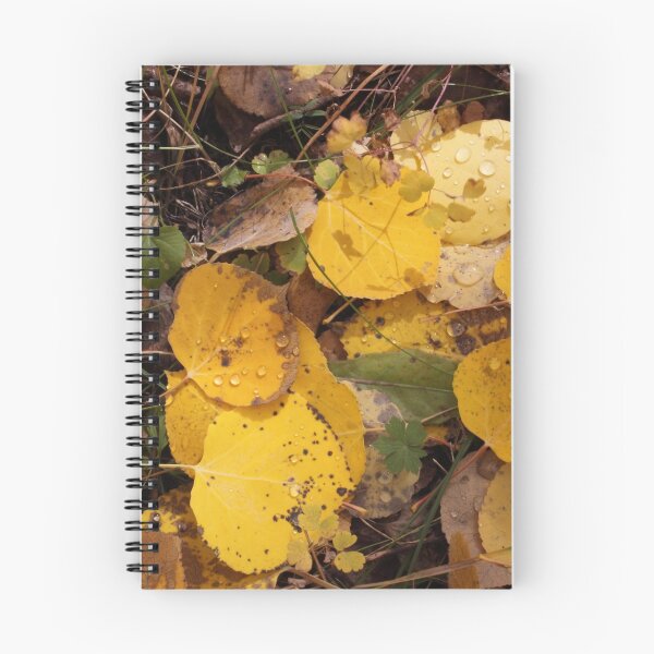 Item preview, Nature's Order designed and sold by Eric Glaser.