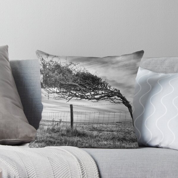Item preview, Prevailing winds designed and sold by Geoff Carpenter.