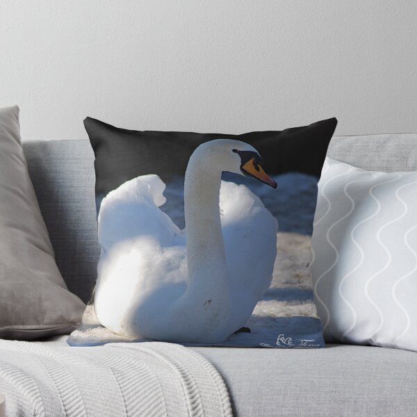 Item preview, Mute Swan Winter designed and sold by NatureExplora.
