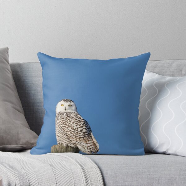 Item preview, All Seeing Owl designed and sold by Thomasyoung.