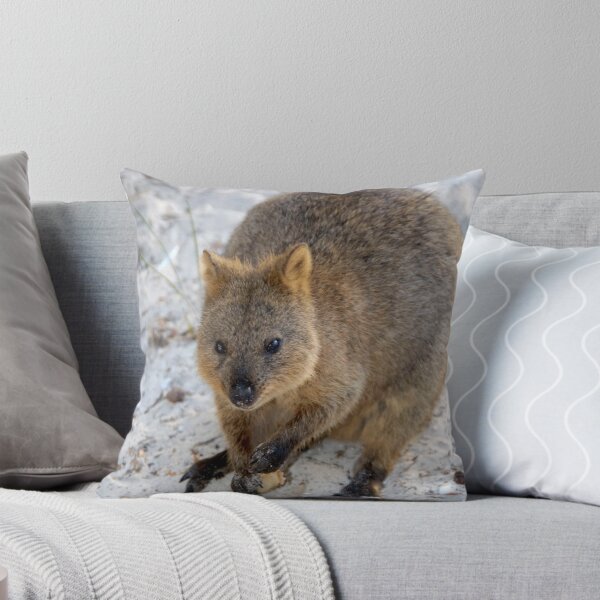Item preview, Quokka 1 designed and sold by Colin White.