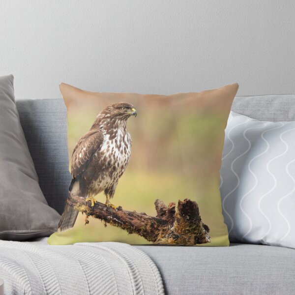 Item preview, the Queen of birds designed and sold by chiaraSibona.