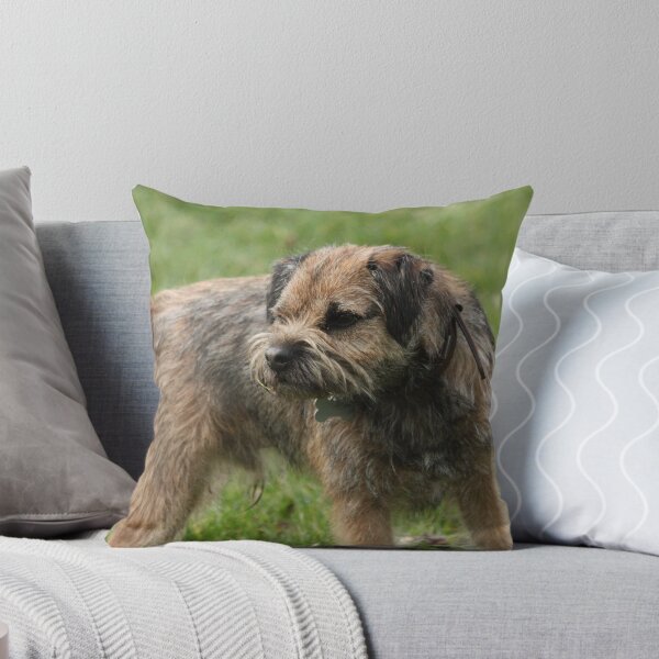 Item preview, Border Terrier designed and sold by EmilyWednesday.