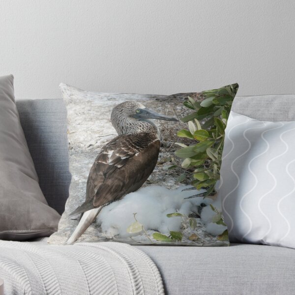Item preview, Blue Footed Boobies on a Nest designed and sold by rhamm.