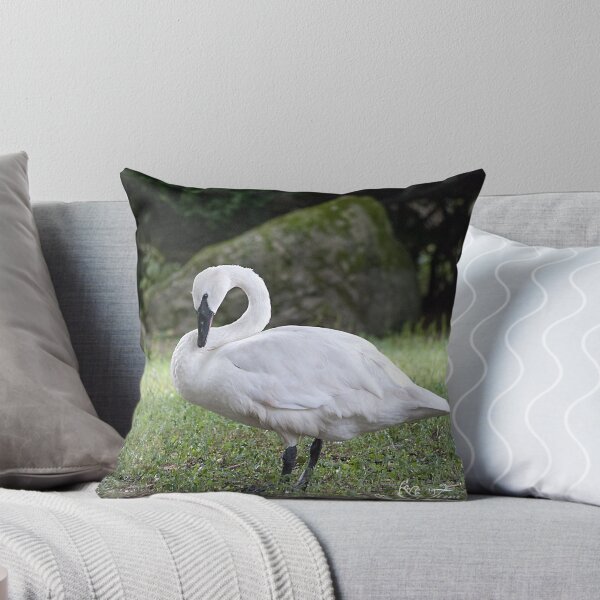 Item preview, Trumpeter Swan Summer designed and sold by NatureExplora.