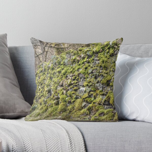Moss on a dry stone wall Throw Pillow