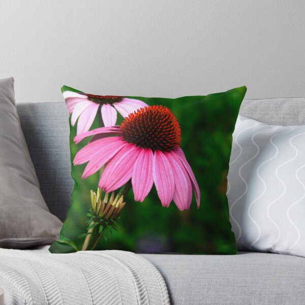 Item preview, Coneflower designed and sold by NatureGreeting Cards ©ccwri.