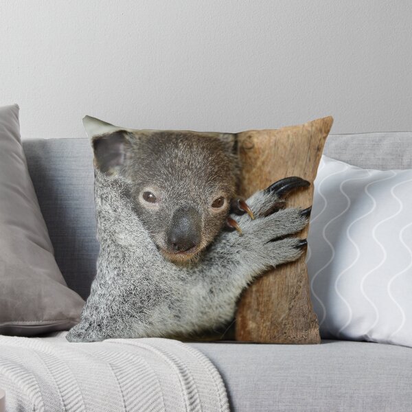 Item preview, Koala Joey designed and sold by Mark Cooper Photography.