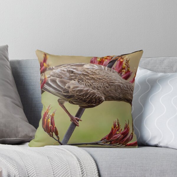 Item preview, Alimentación de aves de zarzo australiano designed and sold by Graeme Bayley.