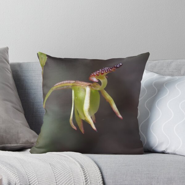 Item preview, Small Duck Orchid - Paracaleana minor designed and sold by Paul Piko.