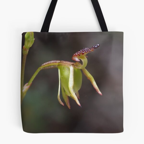 Item preview, Small Duck Orchid - Paracaleana minor designed and sold by Paul Piko.