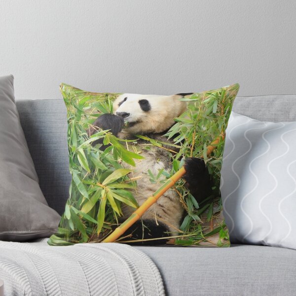 Artikelvorschau, Beautiful Panda entworfen und verkauft von michelle arthur.