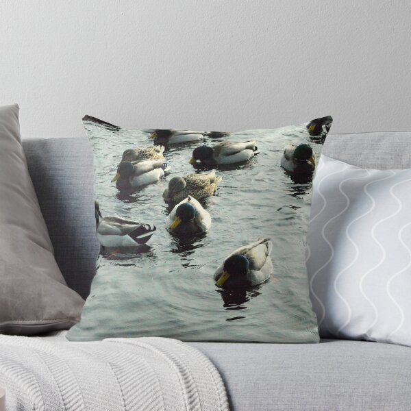 Artikelvorschau, Ducks entworfen und verkauft von PippyPepin.