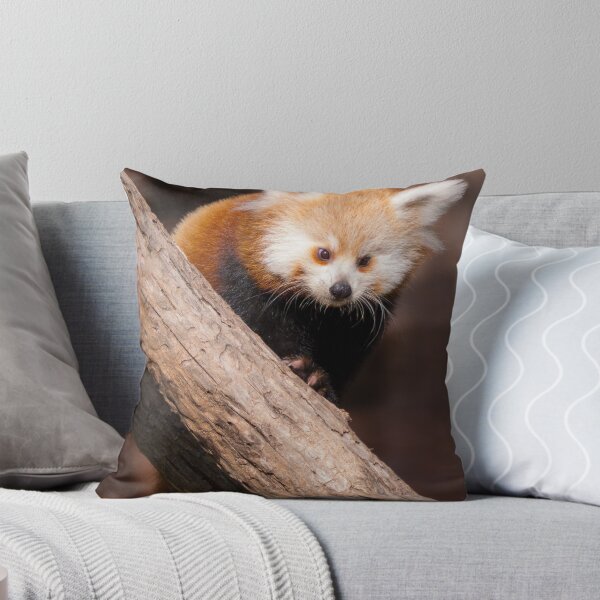 Item preview, Perched designed and sold by S. Daniel McPhail.