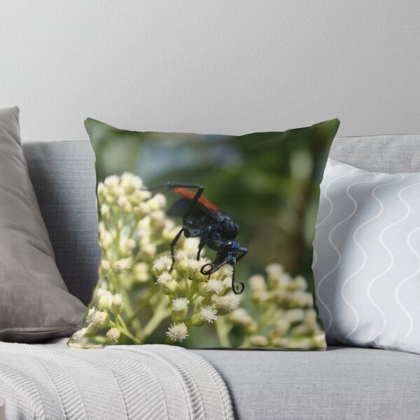 Artikelvorschau, Head of a Tarantula Hawk Spider Wasp entworfen und verkauft von rhamm.