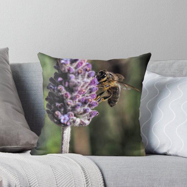 Item preview, The Bee Test designed and sold by John Sharp.