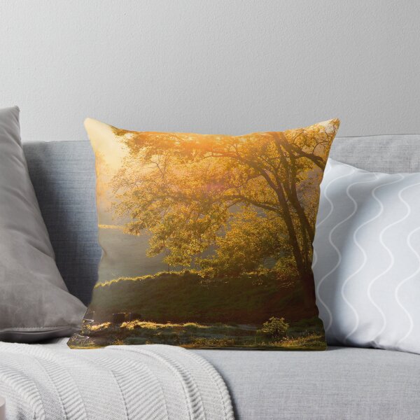 Item preview, Last Golden Rays designed and sold by NatureGreeting Cards ©ccwri.