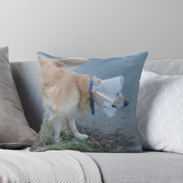 Item preview, Coned Dog Peeing designed and sold by Adrian Wale.