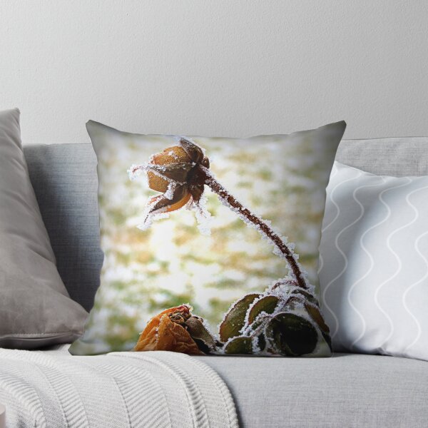 Item preview, To Late To Bloom designed and sold by Diane Arndt.