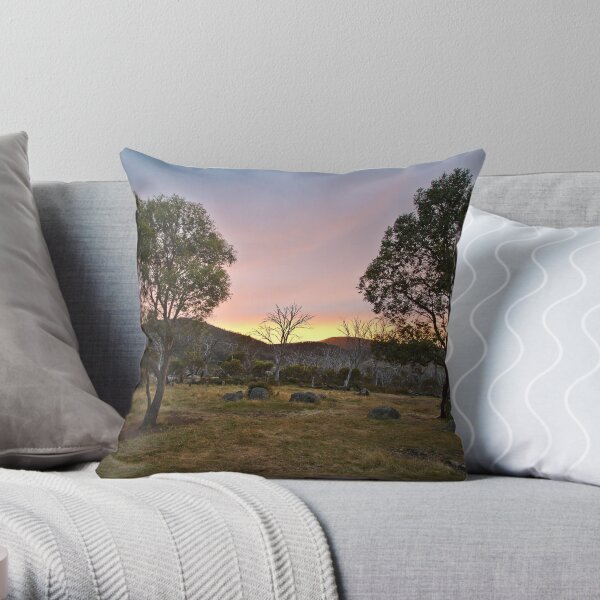 Morning Throw Pillow