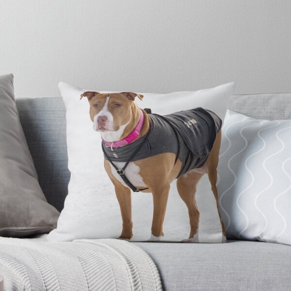 Item preview, Shelby On The Road designed and sold by Thomasyoung.