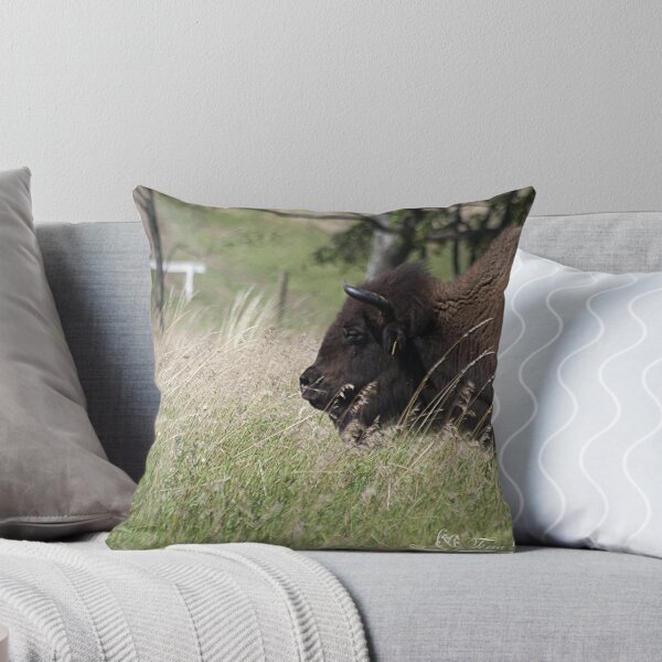 Aperçu de l'œuvre Buffalo Gal créée et vendue par NatureExplora.