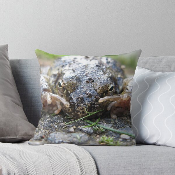 Item preview, Toad designed and sold by shiro.