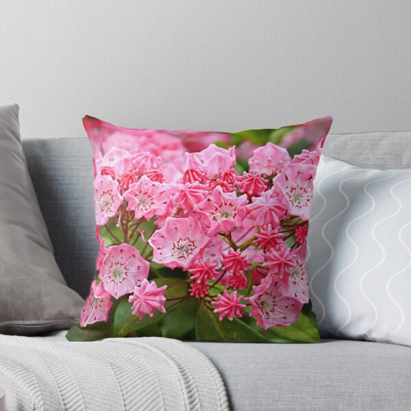 Item preview, Pink and Flamboyant designed and sold by hootonles.