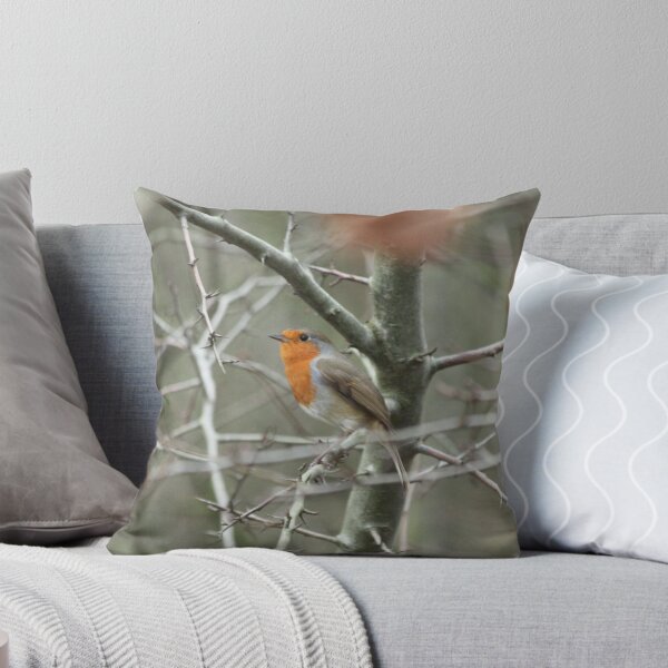 Item preview, Robin designed and sold by EmilyWednesday.