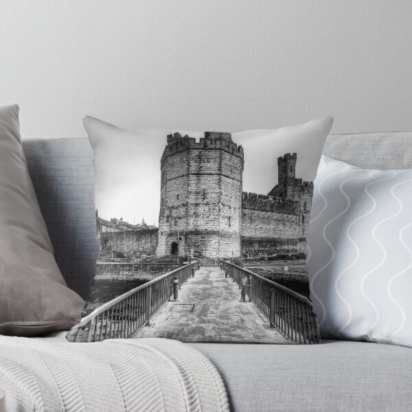Aperçu de l'œuvre Caernarvon Castle créée et vendue par StephenJSmith.