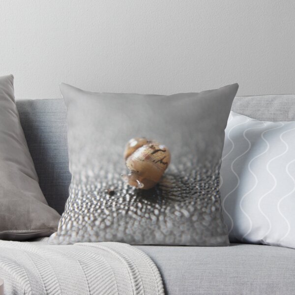 Item preview, Baby Giant African Land Snail 3 designed and sold by EmilyWednesday.