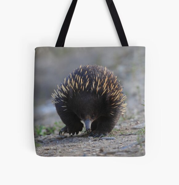 Boy you better move out of my way. All Over Print Tote Bag