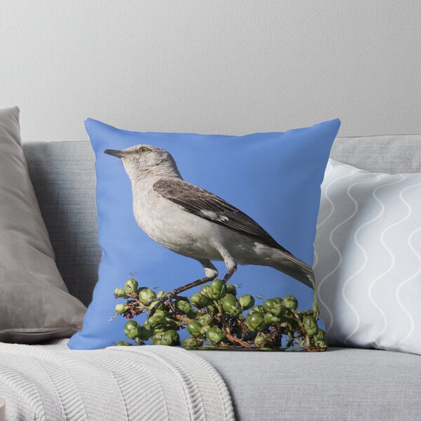 Item preview, The Florida State Bird designed and sold by Anthony Goldman.