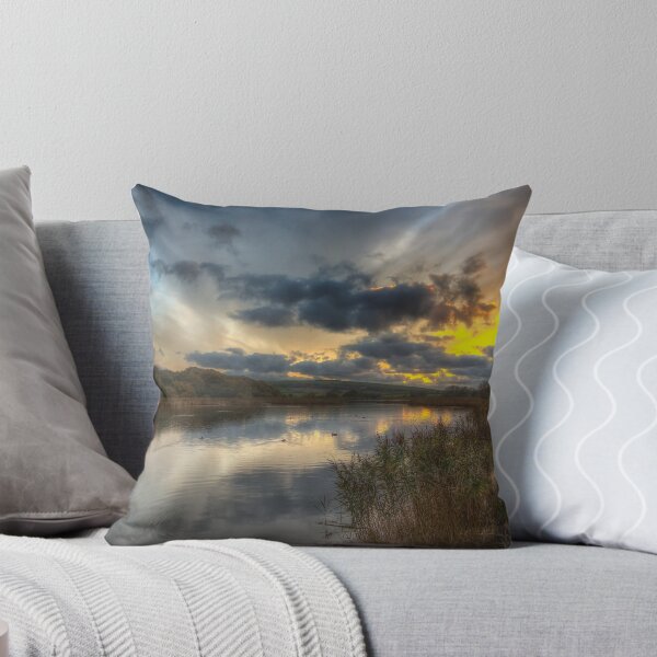Item preview, Bembridge Lagoons Nature Reserve designed and sold by manateevoyager.