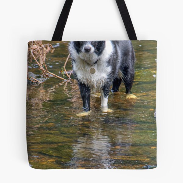Item preview, BORDER COLLIE designed and sold by MIKESCOTT.