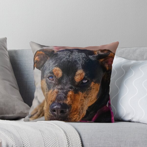 Item preview, Baileys Eyes designed and sold by matt1960.