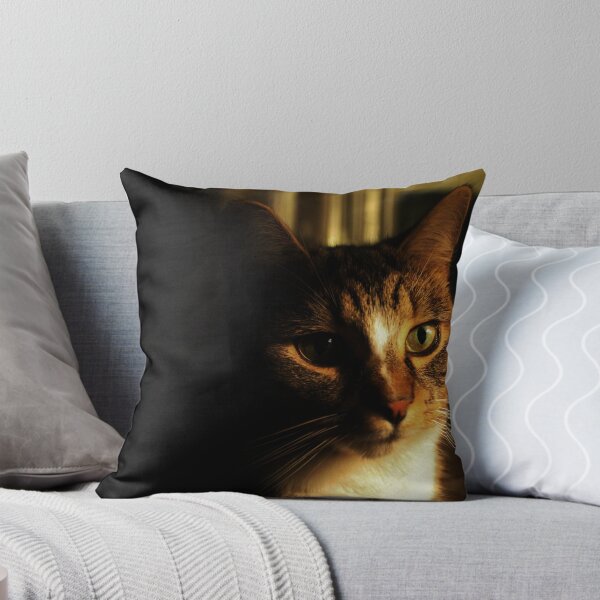 Aperçu de l'œuvre What`s Up Millie Cat créée et vendue par Ladymoose.
