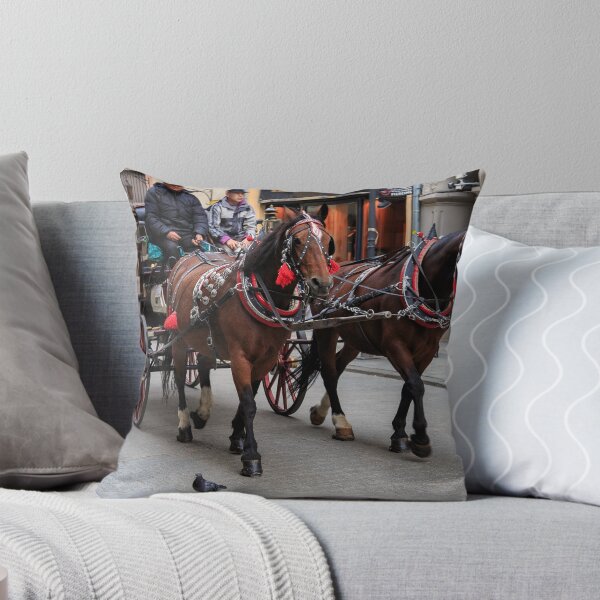 Item preview, Stare Miasto carriage designed and sold by ltm3photography.