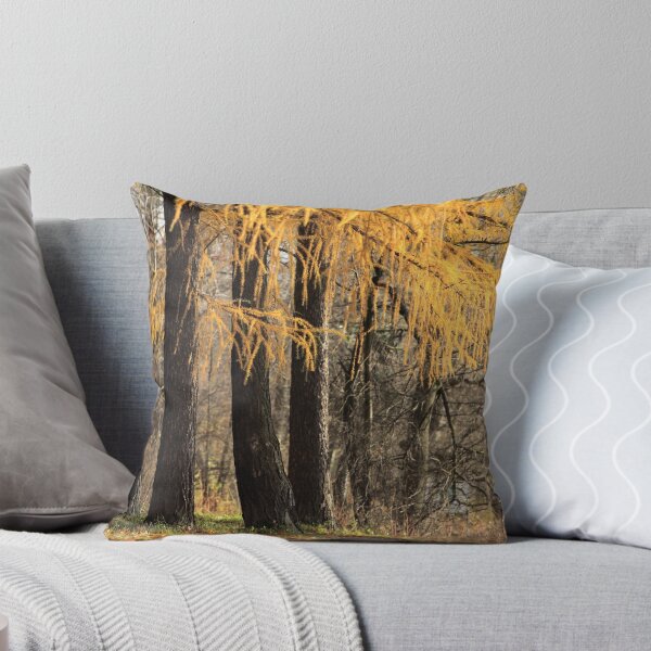 Item preview, larch trees designed and sold by mrivserg.