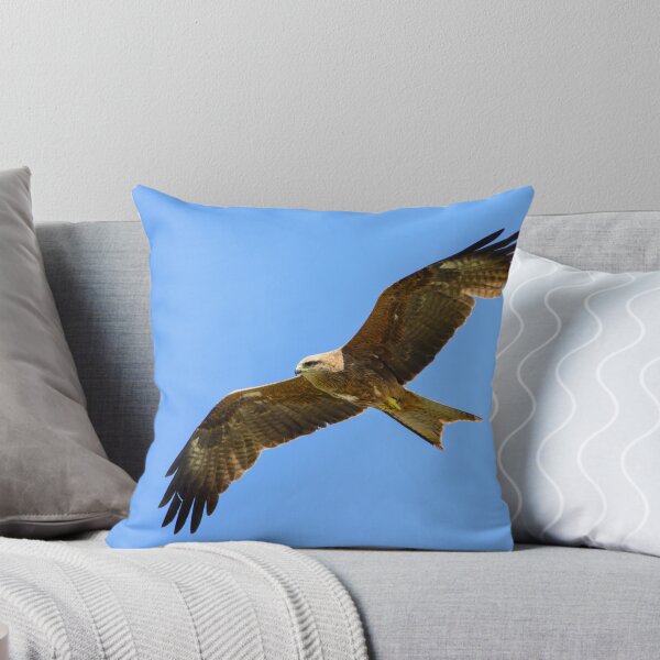 Item preview, Black Kite gliding. designed and sold by James Peake Nature Photography..
