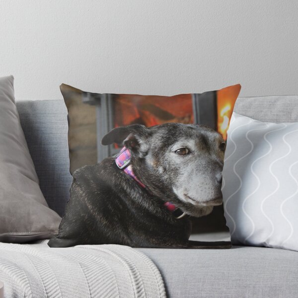 Item preview, Ella the staffie  designed and sold by chirs1990.